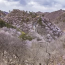 北京旅游 缩略图 15