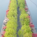 杭州旅游 缩略图 9