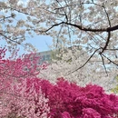 杭州旅游 缩略图 3