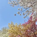 杭州旅游 缩略图 6