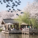 杭州旅游 缩略图 8