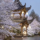 杭州旅游 缩略图 6