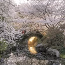 杭州旅游 缩略图 7