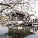 杭州旅游 缩略图 10