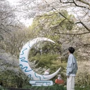杭州旅游 缩略图 13