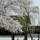 杭州旅游 缩略图 2