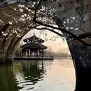 杭州旅游 缩略图 1