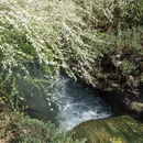 杭州旅游 缩略图 15
