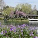 杭州旅游 缩略图 7