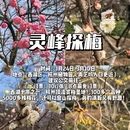 杭州旅游 缩略图 10