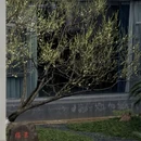 杭州旅游 缩略图 5