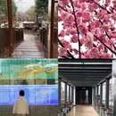 杭州旅游 缩略图 16