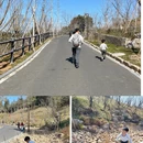 杭州旅游 缩略图 7