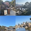 杭州旅游 缩略图 17