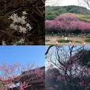 杭州旅游 缩略图 18