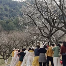 杭州旅游 缩略图 13