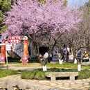 杭州旅游 缩略图 1