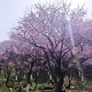 杭州旅游 缩略图 8