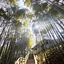 杭州旅游 缩略图 5