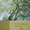 杭州旅游 缩略图 3