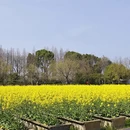 杭州旅游 缩略图 12