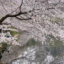 杭州旅游 缩略图 5
