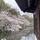 杭州旅游 缩略图 7