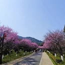 杭州旅游 缩略图 13