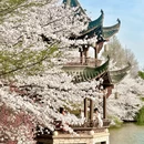 杭州旅游 缩略图 4
