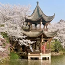杭州旅游 缩略图 10