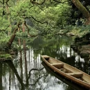 杭州旅游 缩略图 8