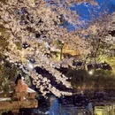 杭州旅游 缩略图 11