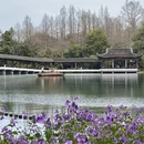 杭州旅游 缩略图 6