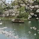 杭州旅游 缩略图 13