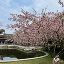 杭州旅游 缩略图 15
