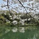 杭州旅游 缩略图 14