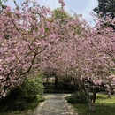 杭州旅游 缩略图 16