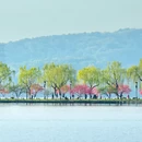 杭州旅游 缩略图 6