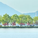 杭州旅游 缩略图 5