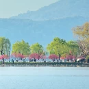 杭州旅游 缩略图 7