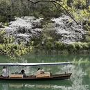 杭州旅游 缩略图 12