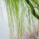杭州旅游 缩略图 3