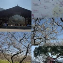 杭州旅游 缩略图 2