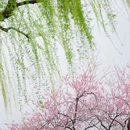 杭州旅游 缩略图 7