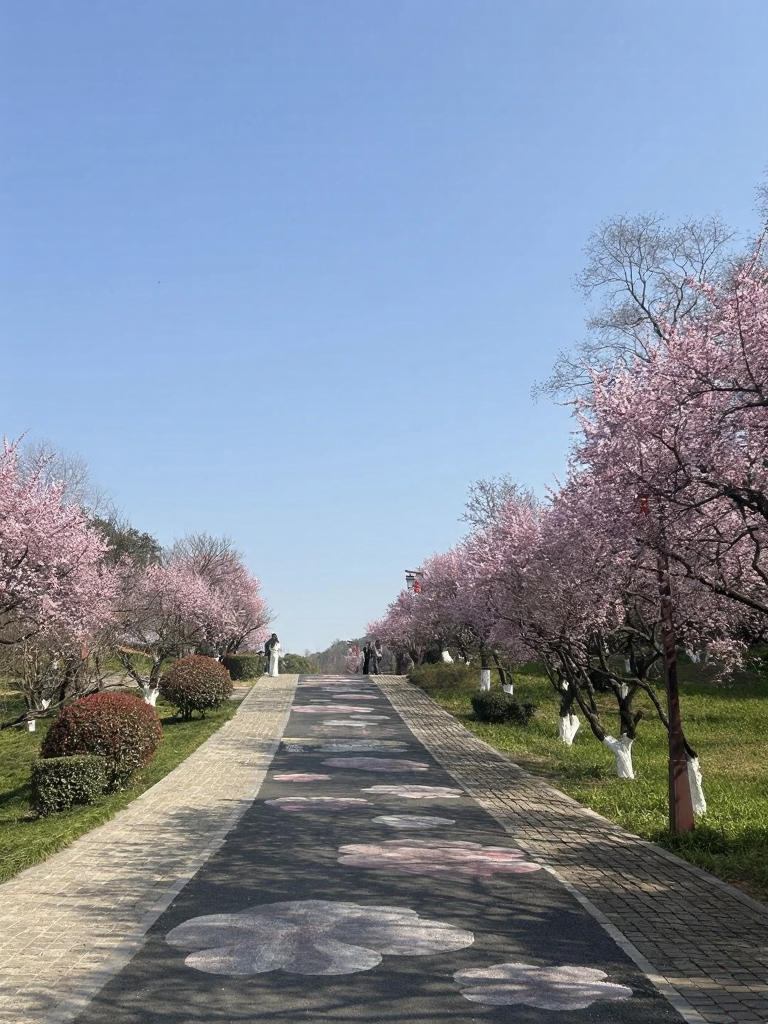 杭州旅游