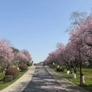 杭州旅游 缩略图 1