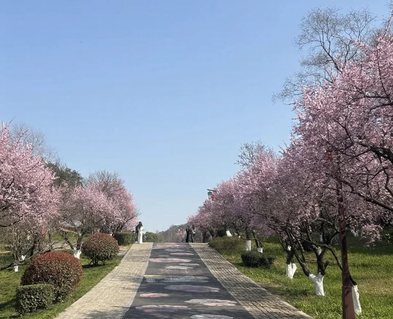 杭州旅游 1