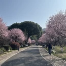 杭州旅游 缩略图 2