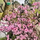 杭州旅游 缩略图 4