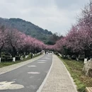 杭州旅游 缩略图 1